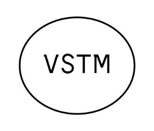 VSTM