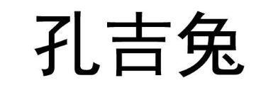 孔吉兔