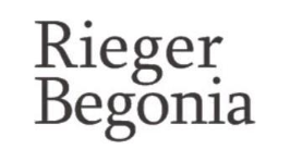 RIEGER BEGONIA