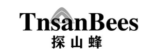 TNSANBEES 探山蜂